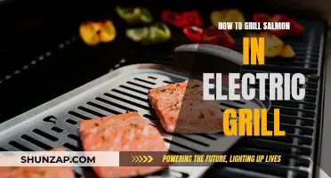 Mastering Salmon on the Electric Grill