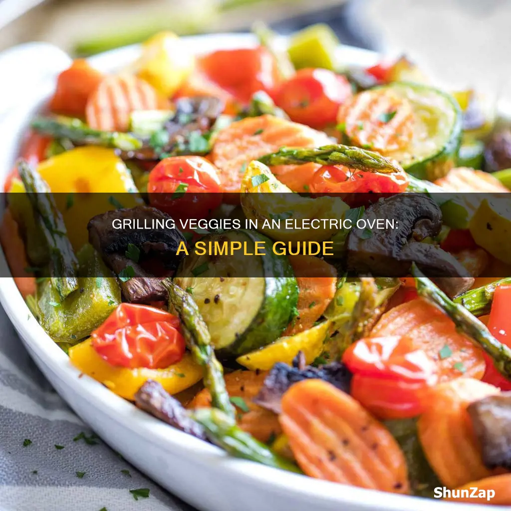 how to grill vegetables in electric oven