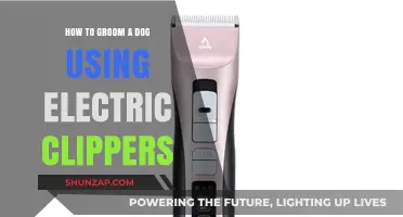 Mastering the Art of Dog Grooming with Electric Clippers