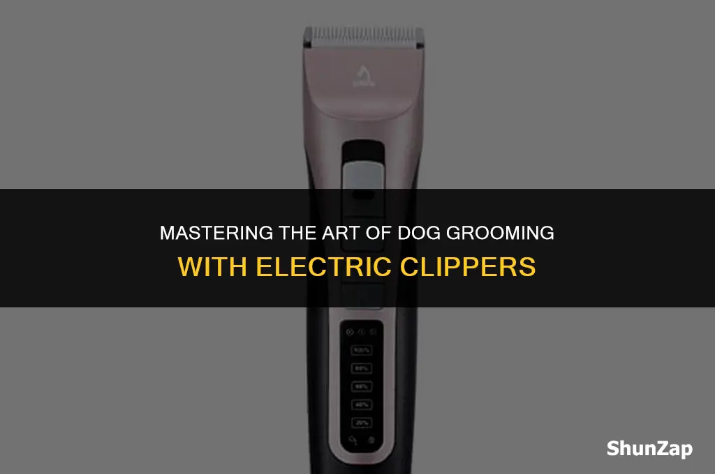 how to groom a dog using electric clippers