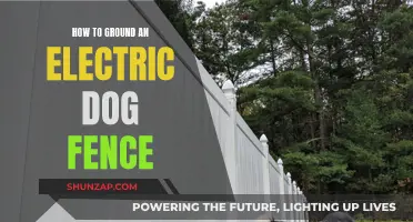Grounding Your Electric Dog Fence: A Step-by-Step Guide
