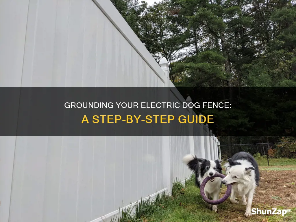 how to ground an electric dog fence
