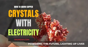 Electric Crystal Growth: Copper Creations
