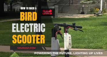 Unlocking the Secrets of Bird Electric Scooters
