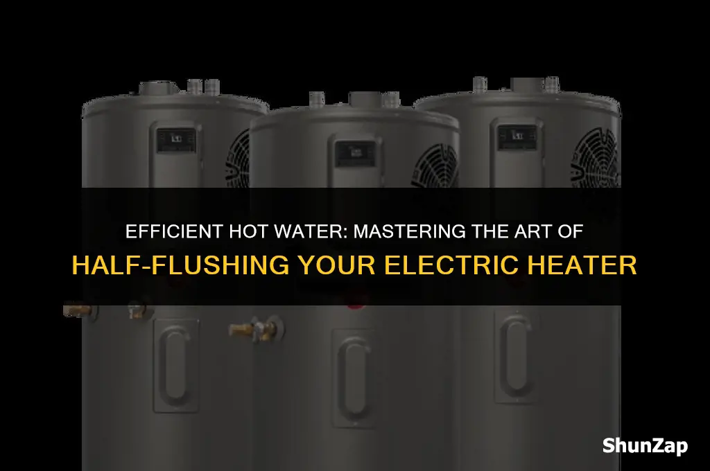 how to half flush an electric water heater