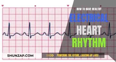 Electrical Heart Health: Tips for a Steady Rhythm