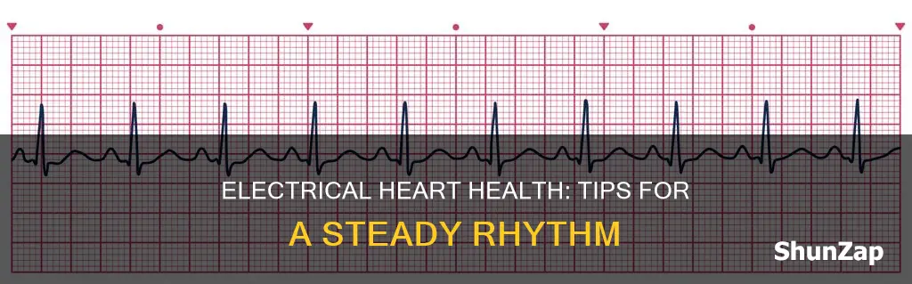 how to have healthy electrical heart rhythm