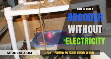 Eco-Friendly Brooder Heating: Alternative Methods for Poultry Care