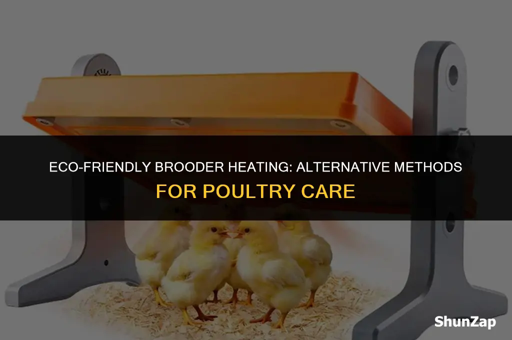 how to heat a brooder without electricity