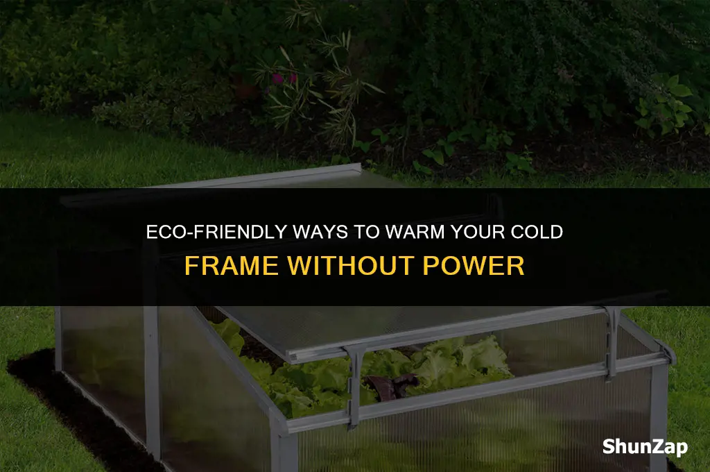 how to heat a cold frame without electricity