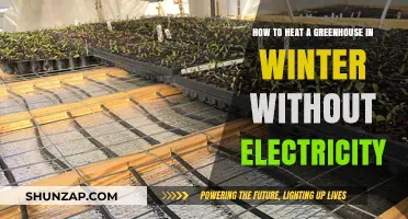 Sustainable Warmth: Heating Your Greenhouse in Winter Without Electricity