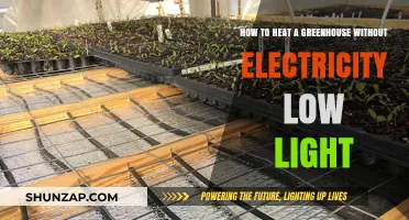 Eco-Friendly Greenhouse Heating: Low-Light, No-Electricity Solutions