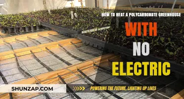 Eco-Friendly Heating Solutions for Your Polycarbonate Greenhouse