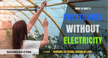 Eco-Friendly Ways to Warm Your Polytunnel Without Power