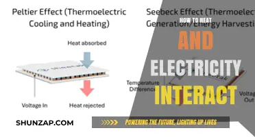 Exploring the Intricate Dance Between Heat and Electricity