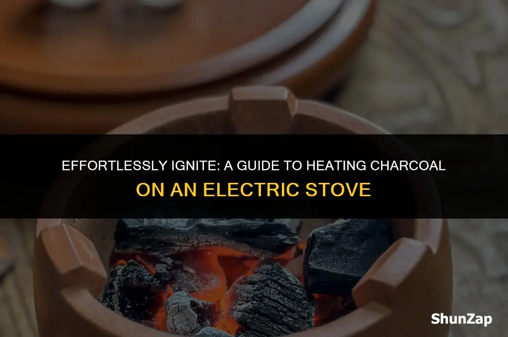 how to heat charcoal on electric stove