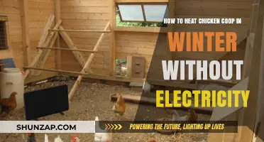Eco-Friendly Ways to Keep Your Chicken Coop Warm in Winter
