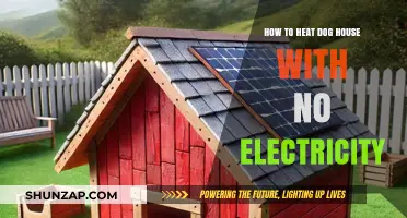 Eco-Friendly Ways to Keep Your Dog House Warm Without Electricity