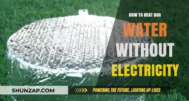 Eco-Friendly Ways to Warm Your Dog's Water Without Electricity