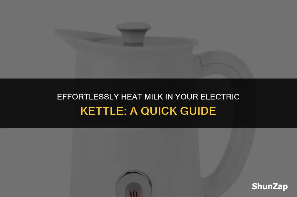 how to heat milk in electric kettle