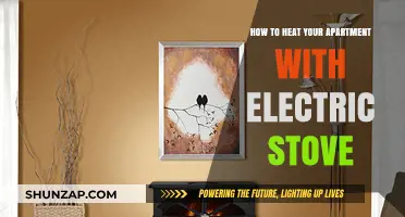 Cozy Up Your Apartment: Efficient Electric Stove Heating Tips