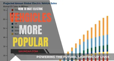 Making Electric Vehicles Mainstream: Strategies for Success