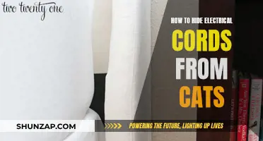 Concealing Electrical Cords: Keeping Cats Safe and Curious