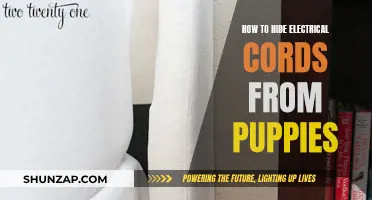 Protecting Electrical Cords: Strategies to Keep Puppies Safe