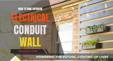 Concealing Electrical Conduit: Creative Outdoor Camouflage