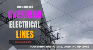 Concealing Overhead Electrical Lines: Creative Camouflage Techniques