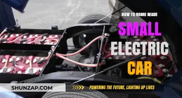 DIY Electric Car: Building Your Own Small Eco-Friendly Vehicle