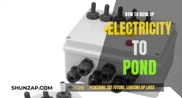 Electricity for Your Pond: A Safe Setup Guide