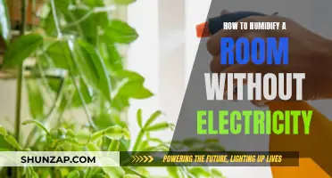 Easy Ways to Humidify Your Room Without Electricity