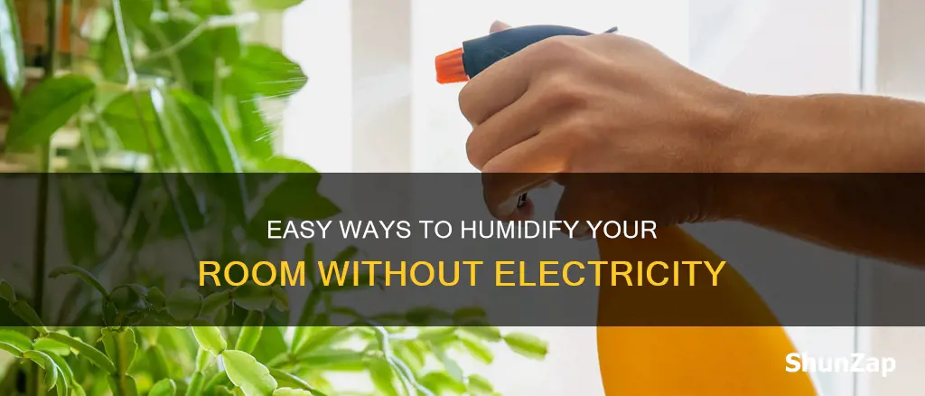 how to humidify a room without electricity