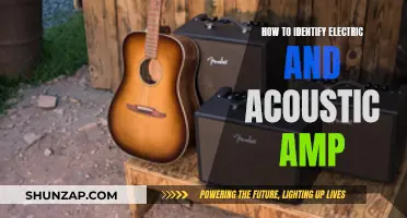 Choosing an Amp: Electric vs Acoustic