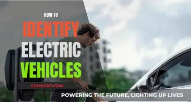 Unveiling the Secrets: A Guide to Spotting Electric Vehicles