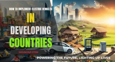 Electric Vehicles: Developing Countries' Implementation Strategies