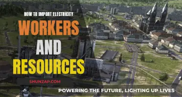 Importing Electricity: Workers and Resources for Global Energy