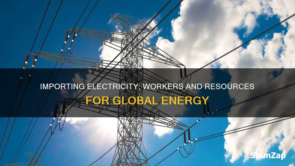 how to import electricity workers and resources