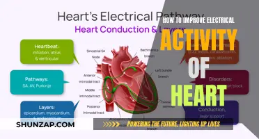 Enhancing Heart Electrical Activity: Tips for a Healthy Heart