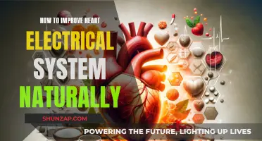 Enhancing Heart's Electrical System: Natural Ways to Try
