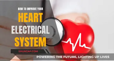 Enhancing Your Heart: Electrical System Optimization
