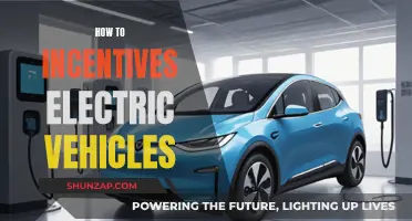 Encouraging Electric Vehicle Adoption: Strategies and Incentives