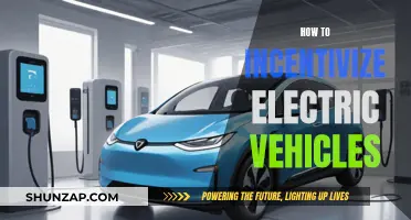 Encouraging Electric Vehicles: Strategies for Widespread Adoption