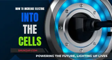 Charging Cells: Increasing Electric Flow for Optimum Performance