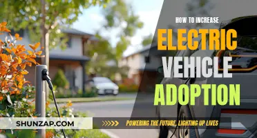 Strategies for Accelerating the Shift to Electric Vehicles