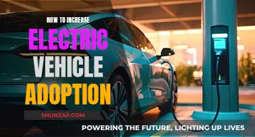 Encouraging Electric Vehicle Adoption: Strategies for a Greener Future