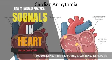 Enhancing Heart Signals: Techniques for Amplification
