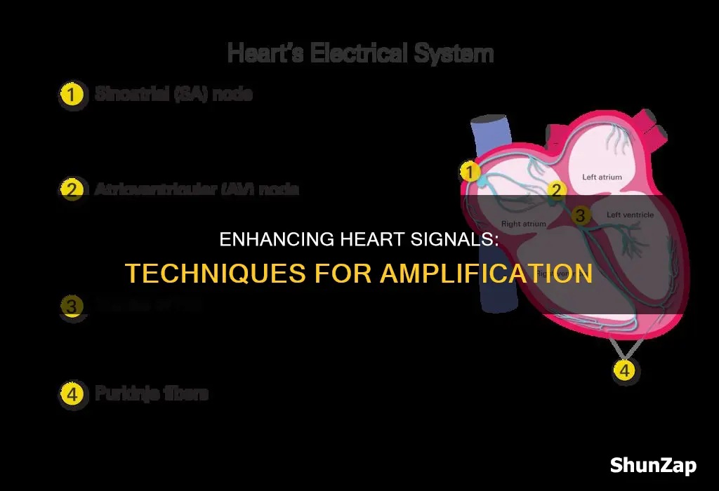 how to increase electrical sognals in heart