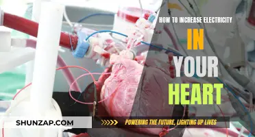 Heart's Electricity: Simple Ways to Boost It